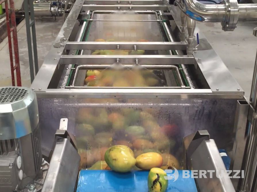 Experienced supplier of fruit puree machine,mango pulp machine